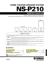 Yamaha NSP-100-Service-Manual 